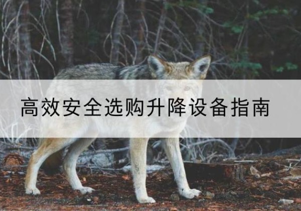 盖州升降货梯厂家推荐-*安全选购升降设备指南