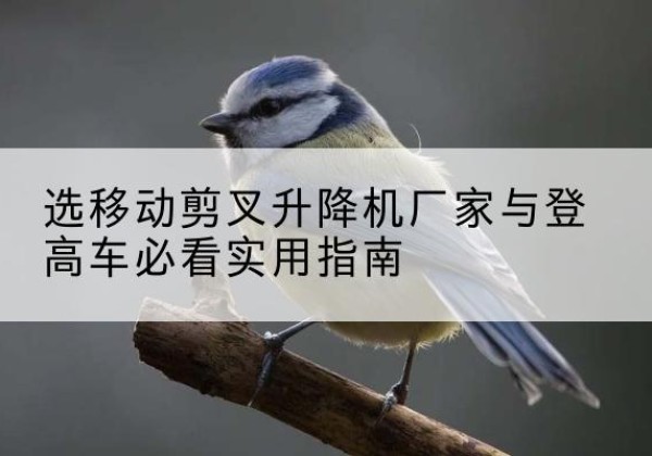 盖州电动升降机厂家-选移动剪叉升降机厂家与登高车必看实用指南