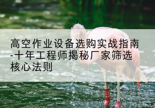 盖州剪叉式升降机厂家-高空作业设备选购实战指南-十年工程师揭秘厂家筛选核心法则